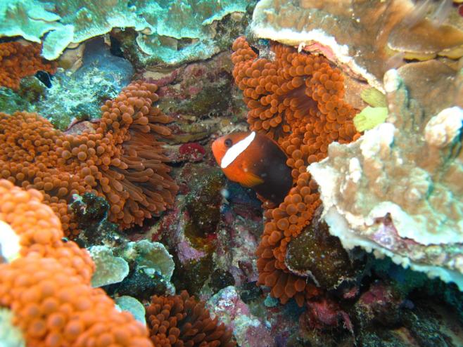 ビーチリゾートなど、グアムならではの楽しみがたくさん