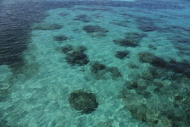 ケアンズ海
