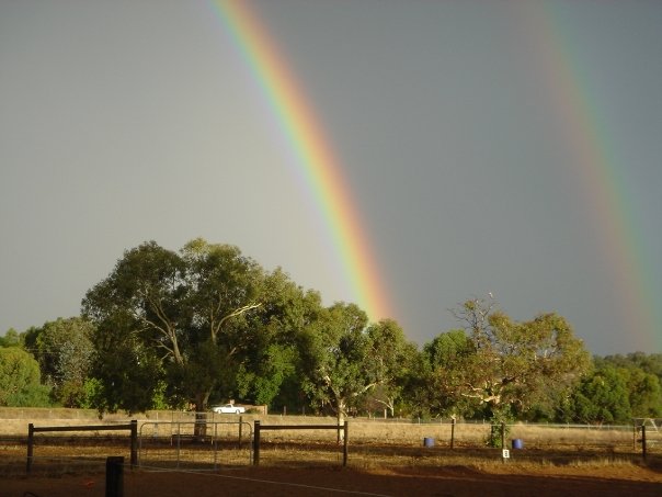 ダブルレインボー