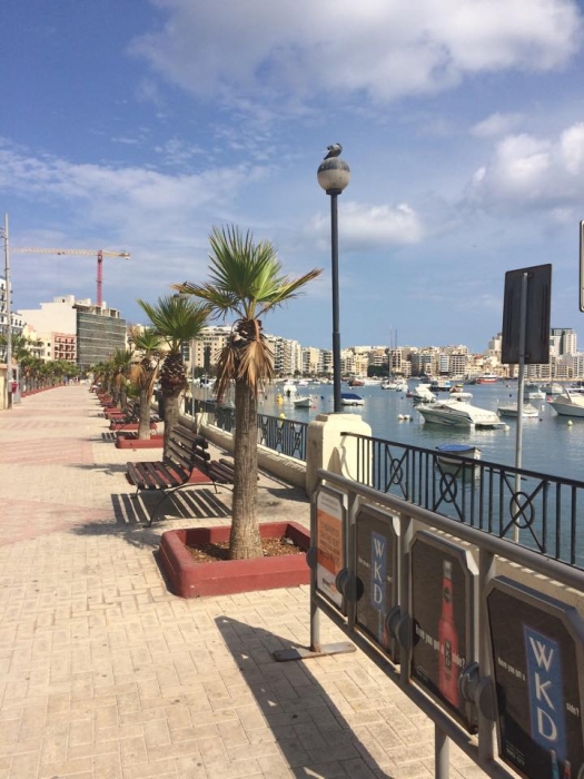 日差しの強いマルタ