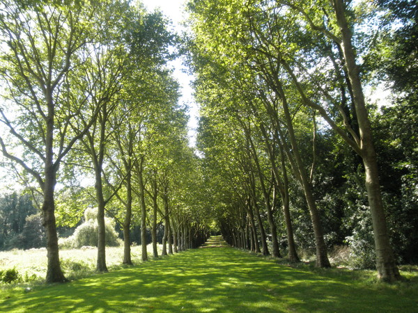 フランスの公園