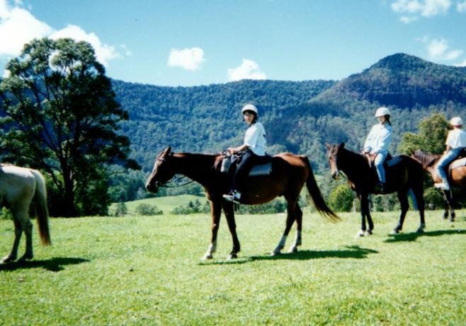大自然の中で乗馬体験