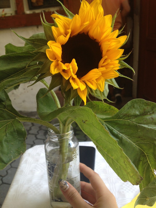 パーティの様子