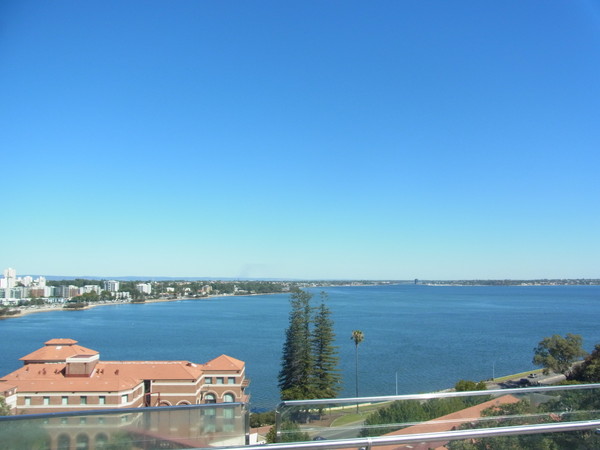 キングスパーク