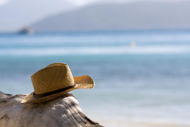 フィッツロイ島にいるオウム