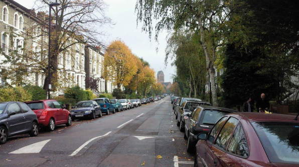 綺麗な街路樹が並ぶ住宅街