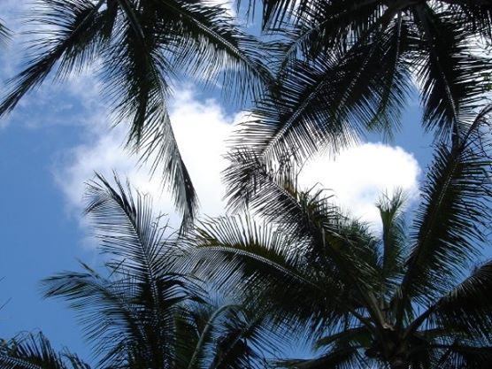 フィッツロイ島の青空