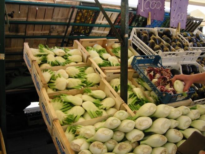 フェンネル（ウイキョウ）やアーティチョーク