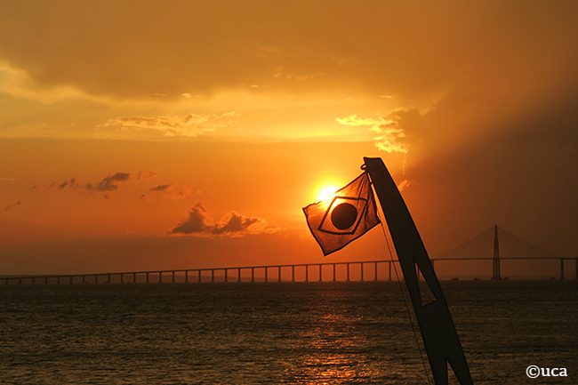 ブラジル・アマゾン川