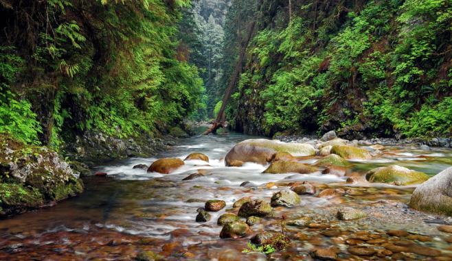 リン キャニオン パーク