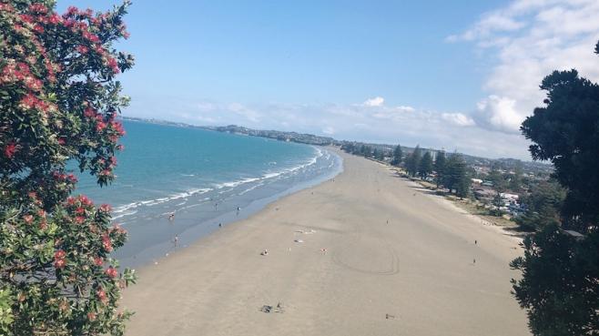 ニュージーランドの風景