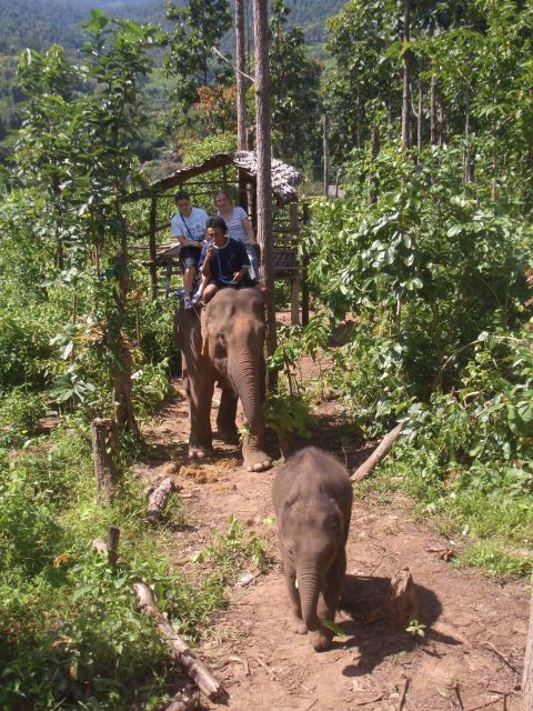 チェンマイの風景①