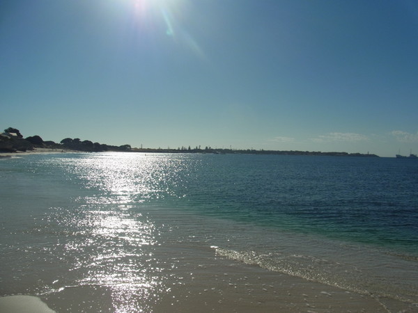 ロットネスト島