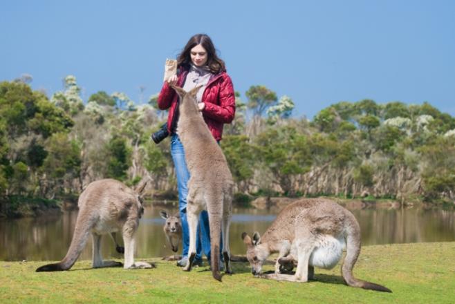 オーストラリア人は陽気って本当 留学前に知っておきたいオージーの特徴 性格 留学くらべーる