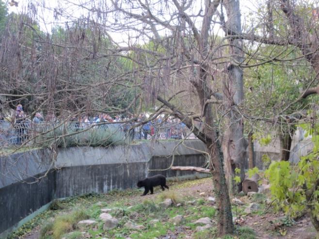 園内にある無料の動物園