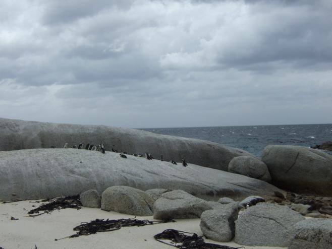 南アフリカの海③