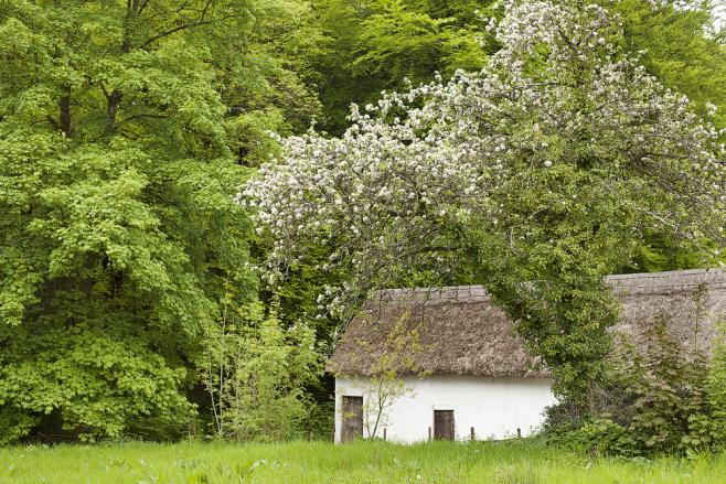 セント・ファガンズ歴史博物館