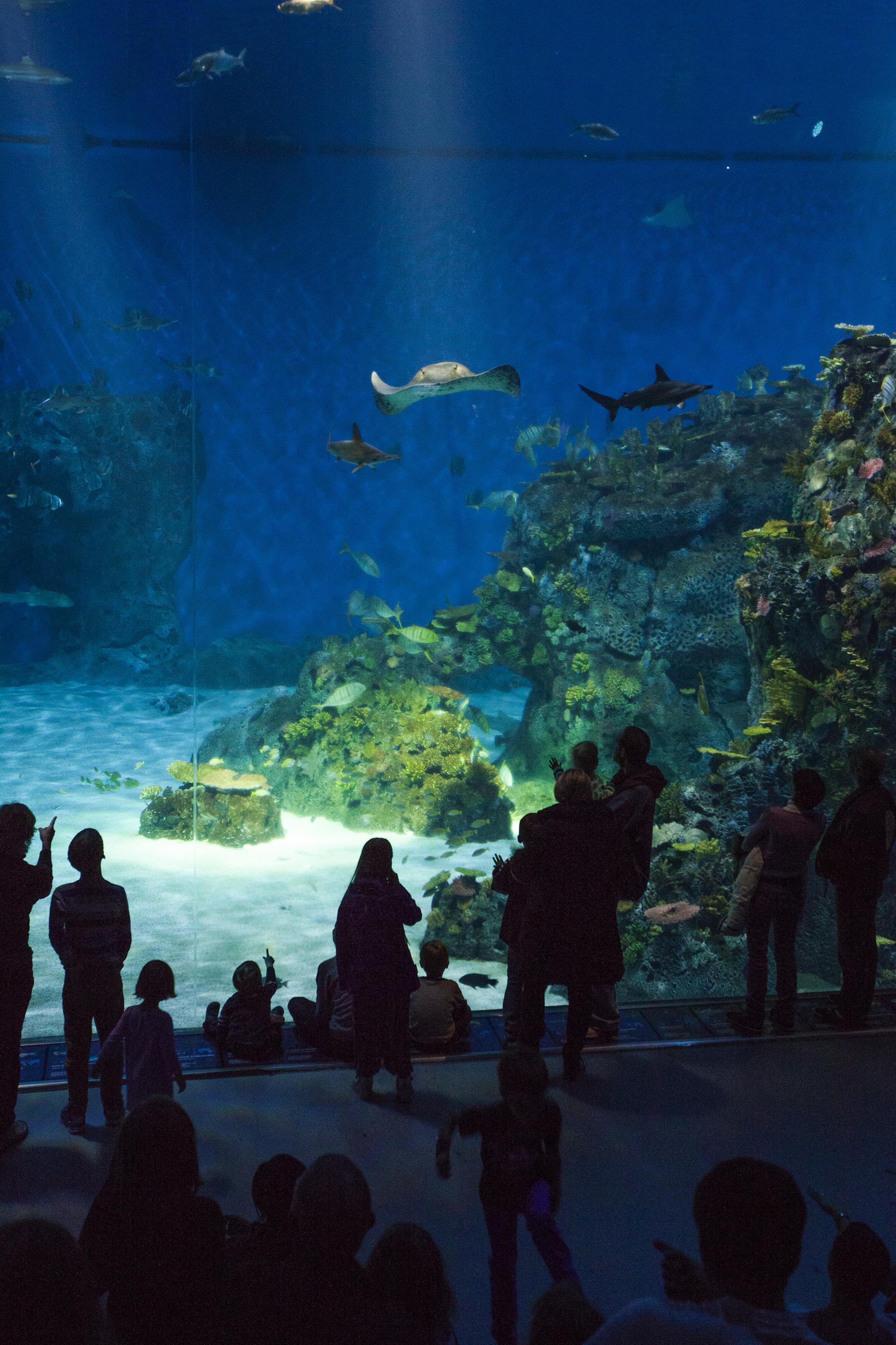 ブルー・プラネット