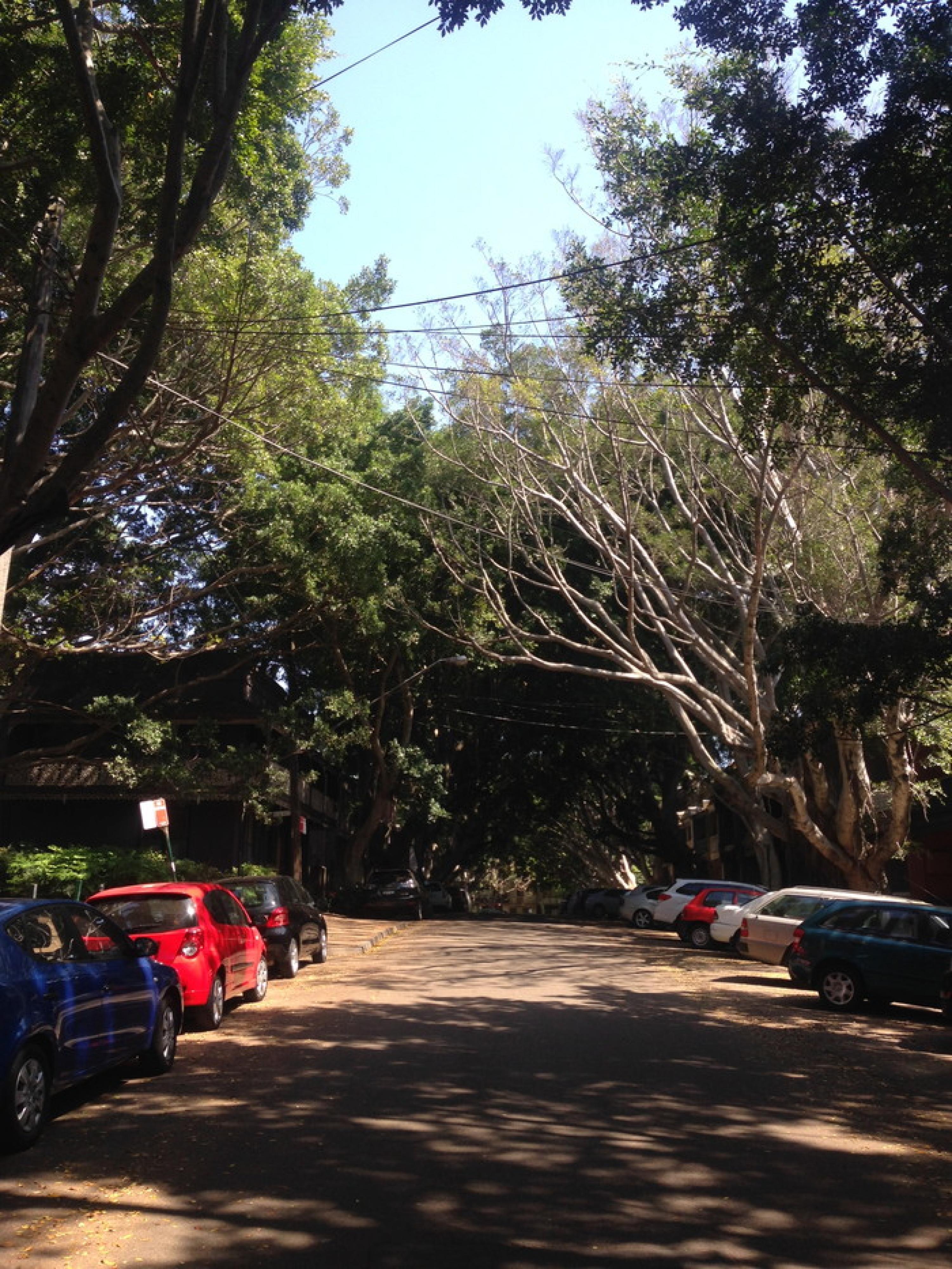 オーストラリアで家探し③