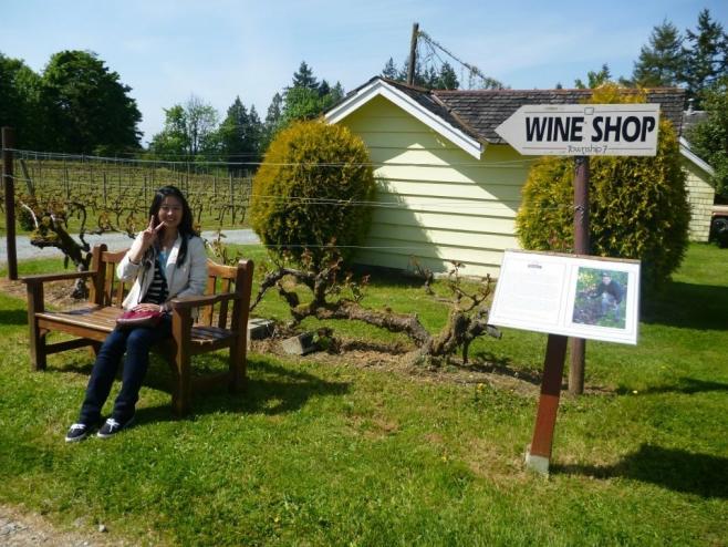 【体験談】英語習得を目標にカナダでワーキングホリデーをしたら、その後の人生が大きく変わりました