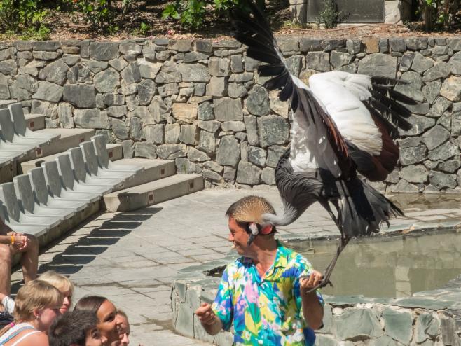 ポートアベンチュラ・パーク④