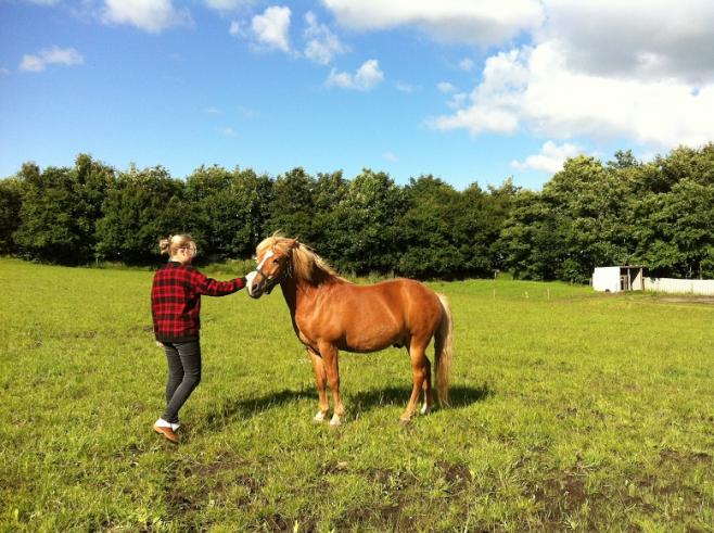 ヨーロッパ近隣の旅行