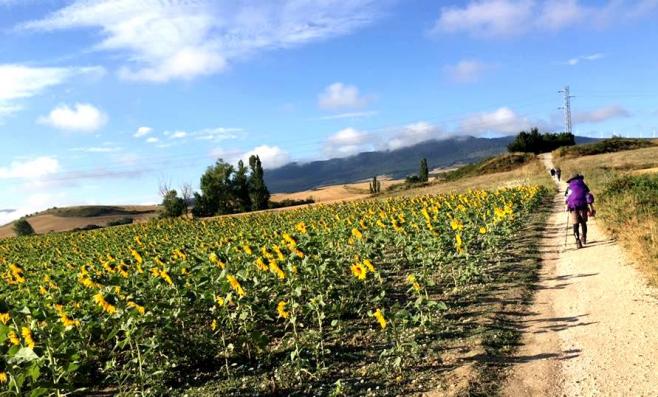 サンティアゴ巡礼