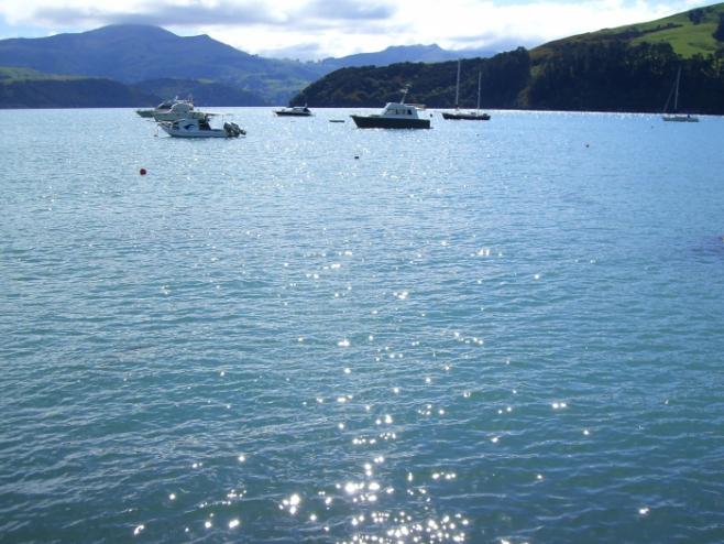 ニュージーランドの風景②