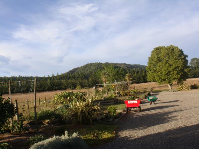 ニュージーランドの風景②