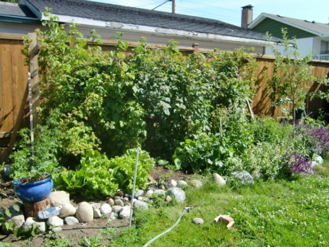 ホストファミリーの部屋