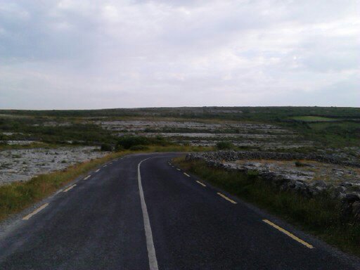 サイクリングした道路