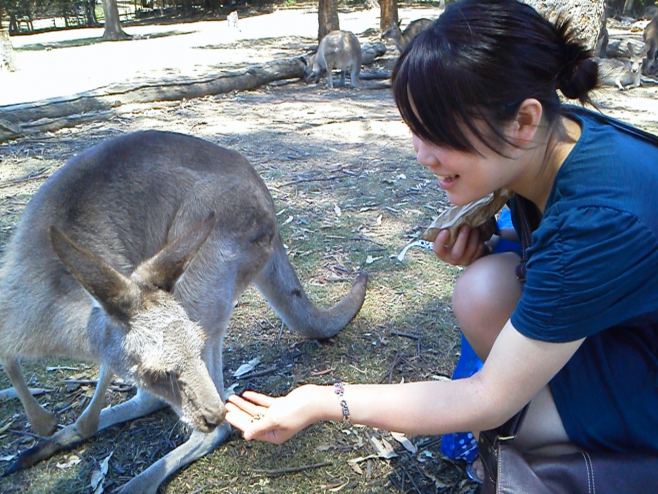 オーストラリアのワーキングホリデー