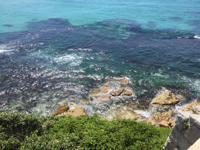 オーストラリア・ワーキングホリデー