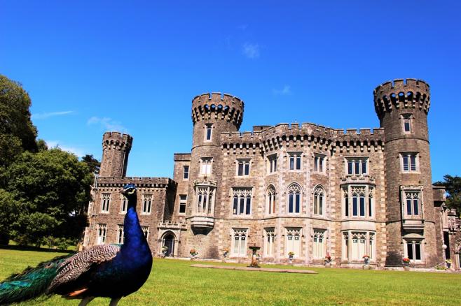 アイルランドの風景①