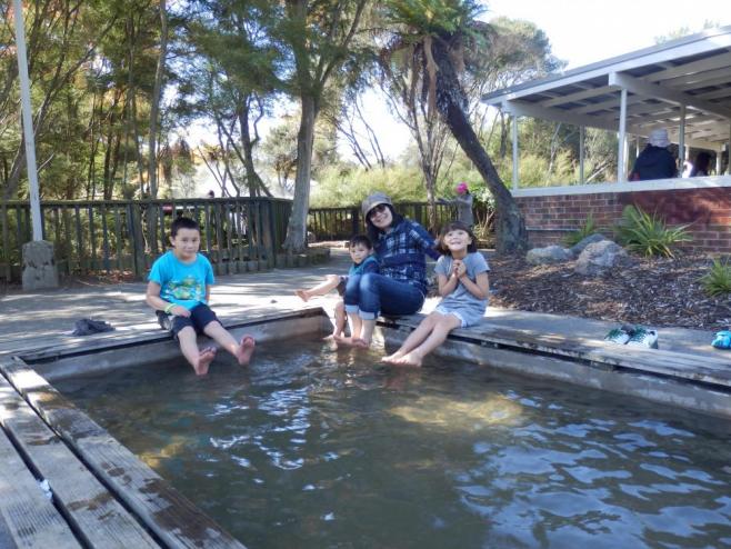 ブロガー・ルイーズケーキさん