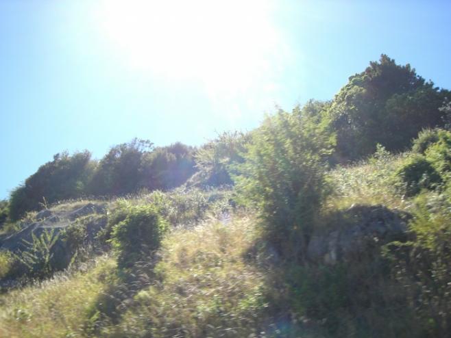 ニュージーランドの紫外線